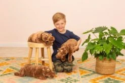 Teddy-Hermann Nilpferd Liegend 45 Cm 5 Teddy-Hermann Nilpferd Liegend 45 Cm -TONIES Verkäufe 22578732 02